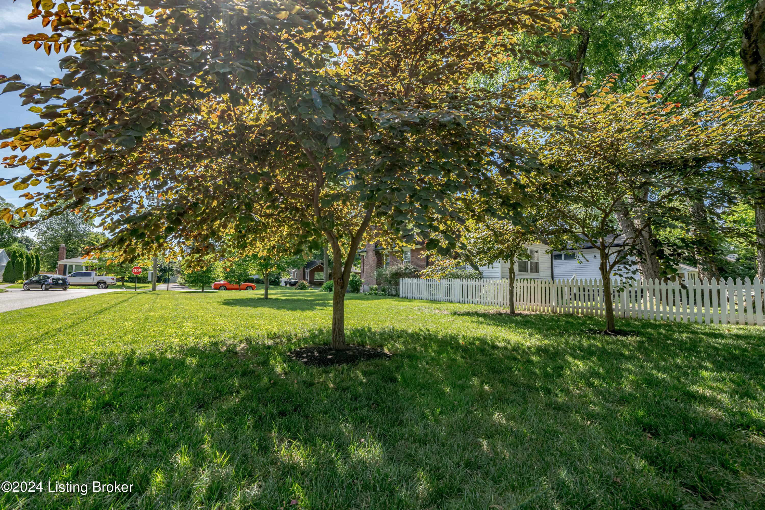 208 Tyne Road Louisville, KY 40207 - Photo 64 of 69 DSC09718