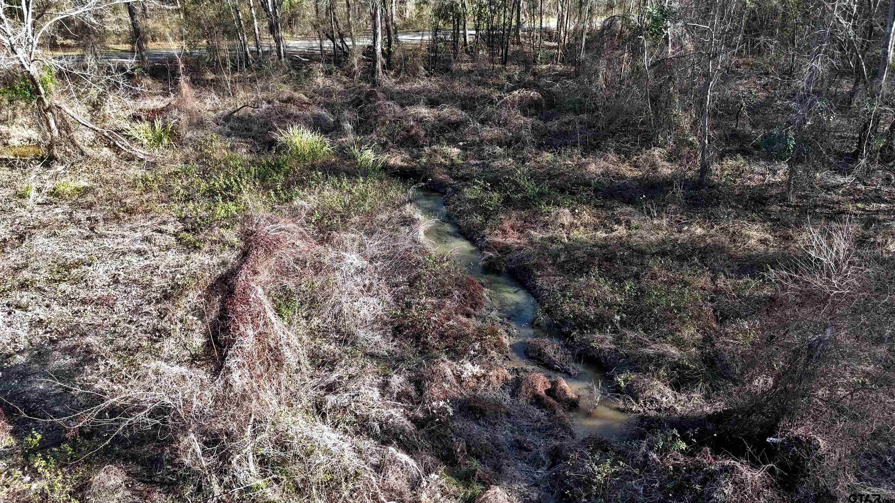 3801 Athens Tx 75752 Athens, TX 75752 - Photo 11 of 11 a view of a forest with a tree