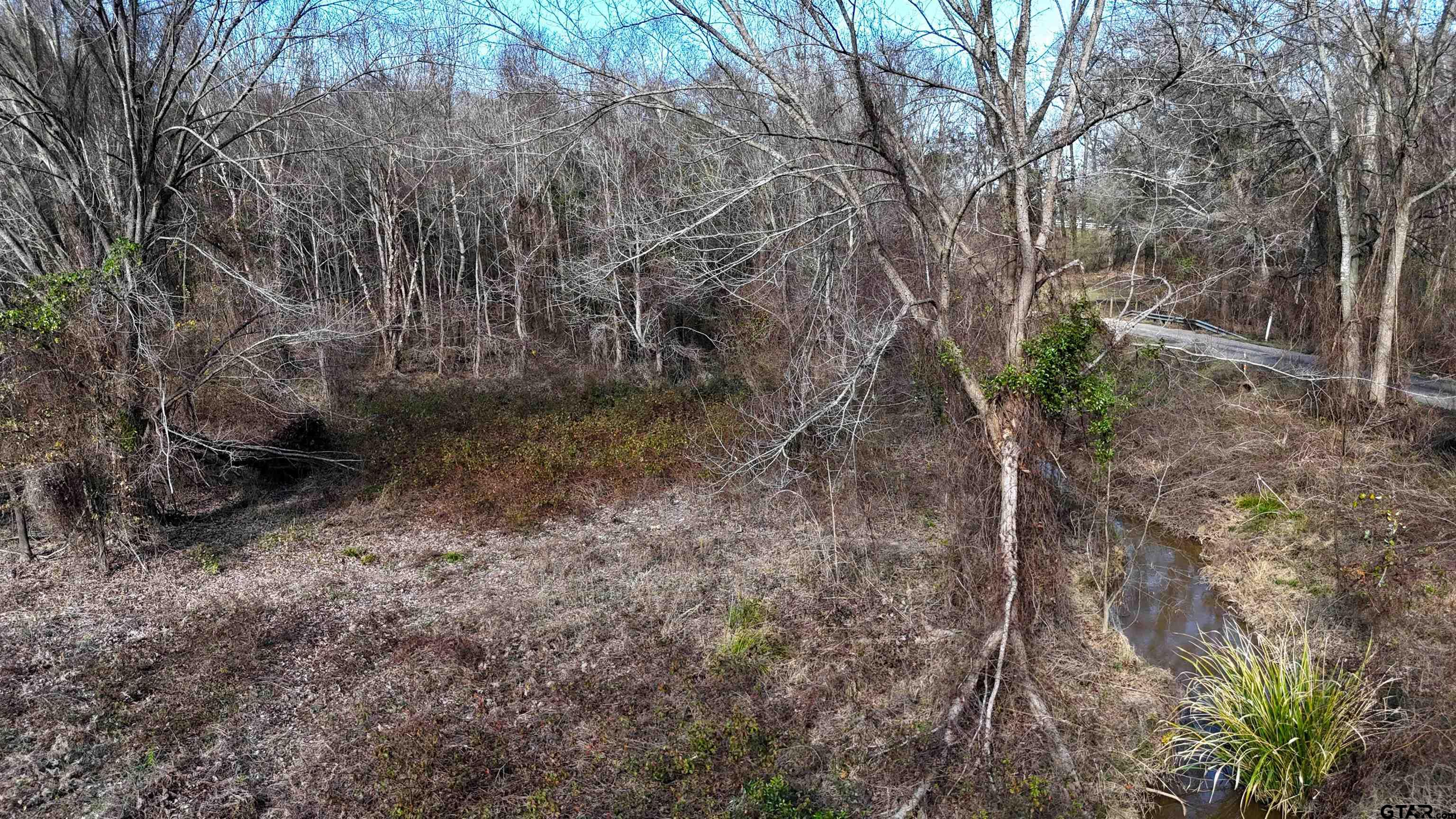 3801 Athens Tx 75752 Athens, TX 75752 - Photo 6 of 11 a view of a yard with plants and trees