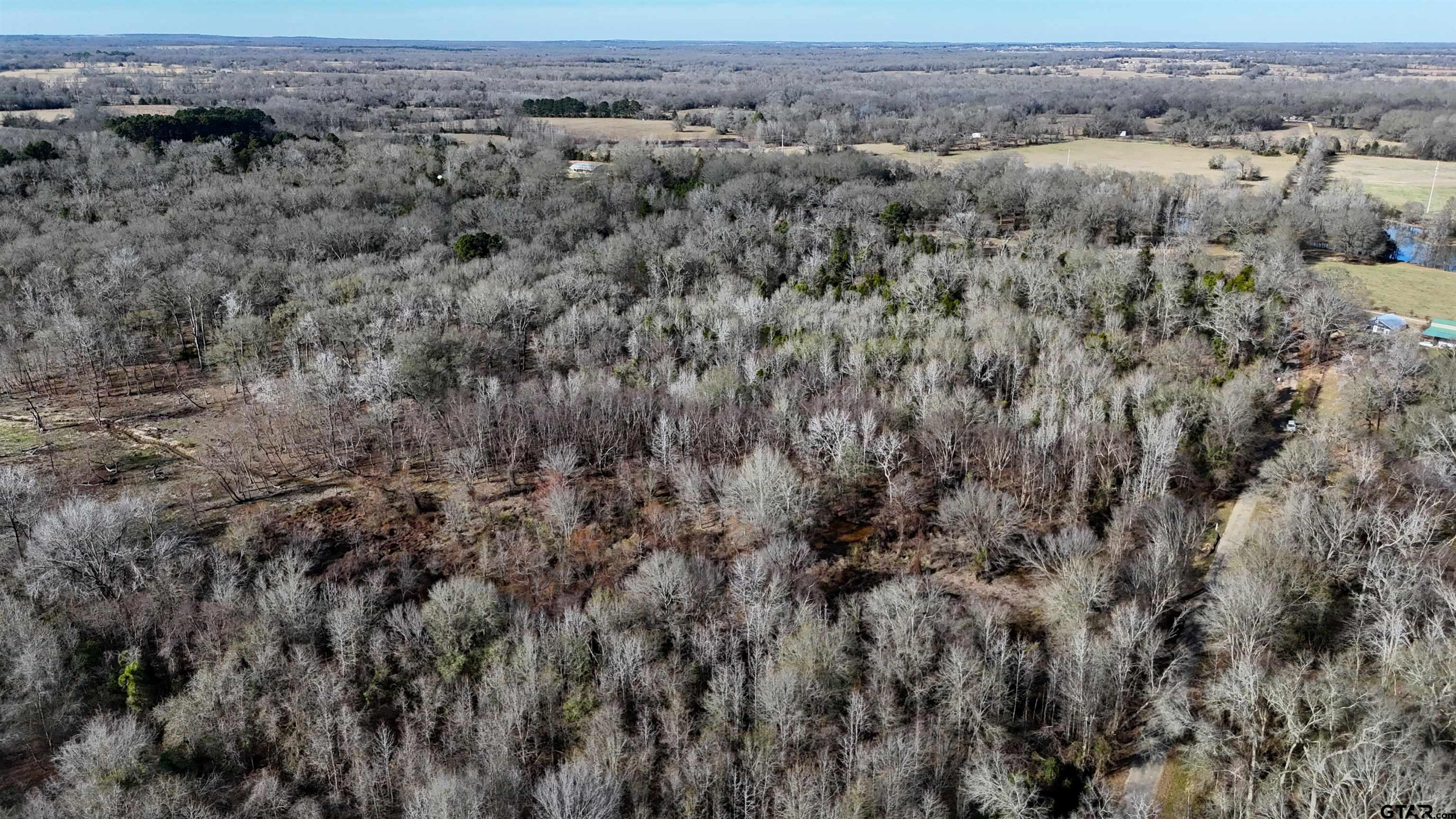 3801 Athens Tx 75752 Athens, TX 75752 - Photo 8 of 11 an aerial view of house with yard and mountain view
