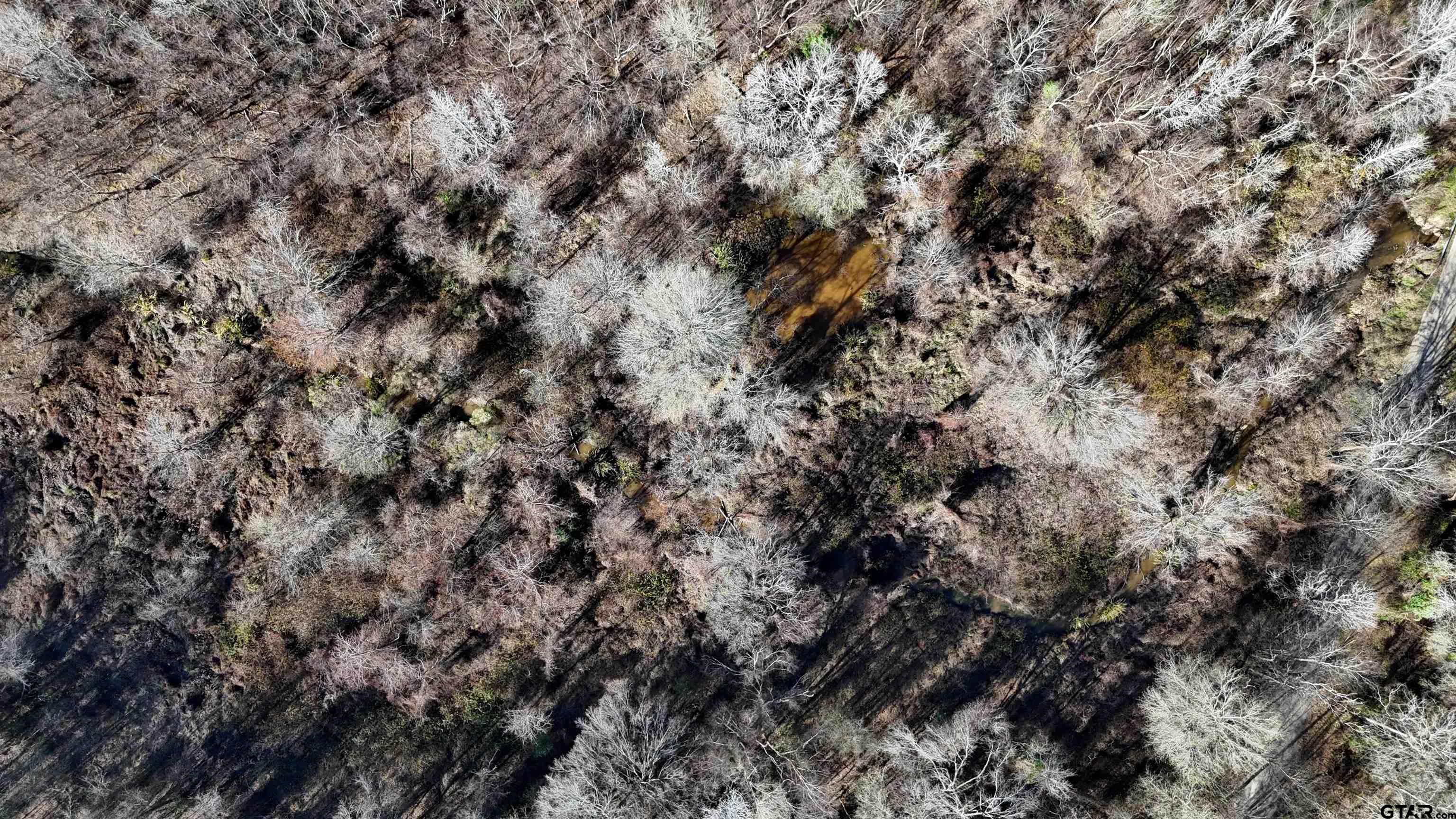 3801 Athens Tx 75752 Athens, TX 75752 - Photo 9 of 11 a view of a house with a tree