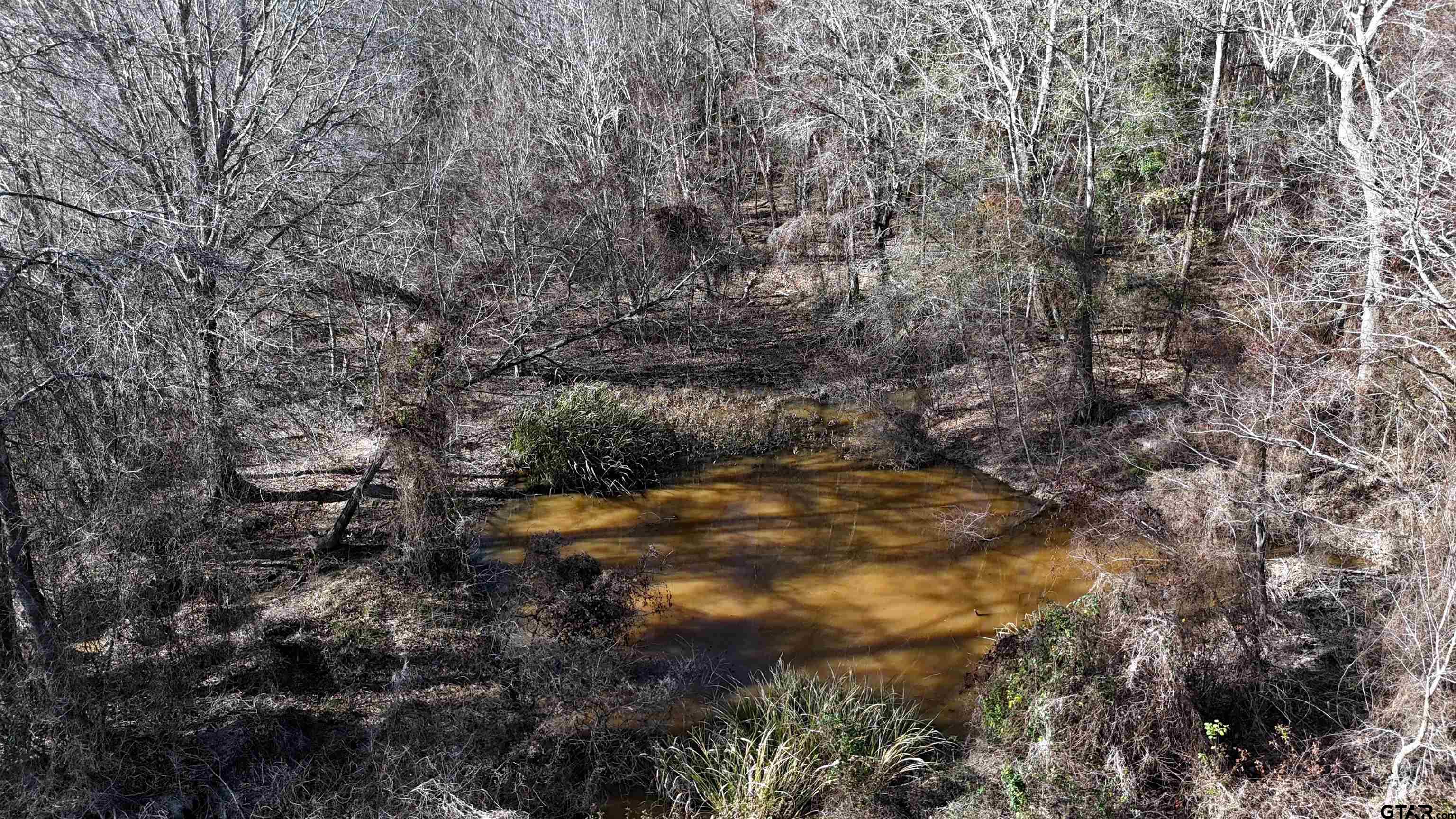 3801 Athens Tx 75752 Athens, TX 75752 - Photo 10 of 11 a view of a yard with trees