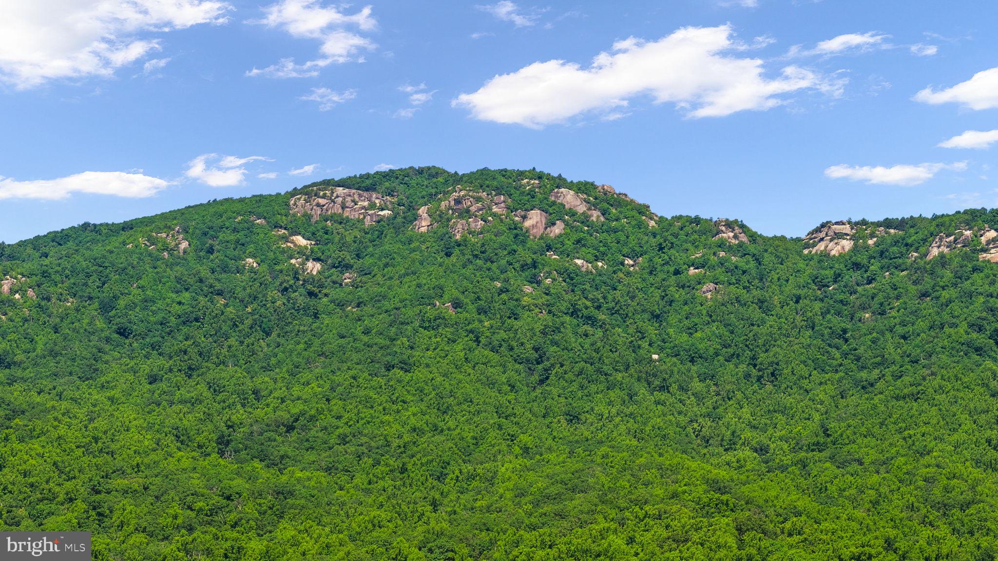 1319 Champe Plain Road Etlan, VA 22719 - Photo 58 of 63 Old Rag Mountain