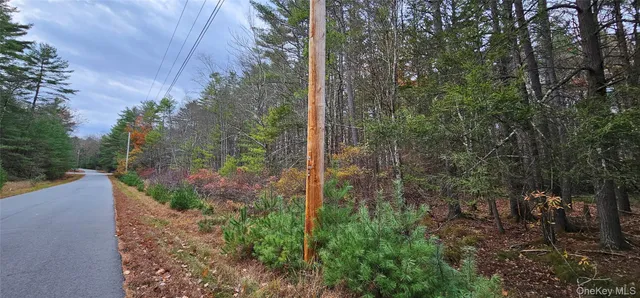 a view of a yard with a tree