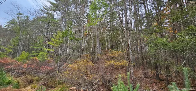 a view of a lake with houses in the back