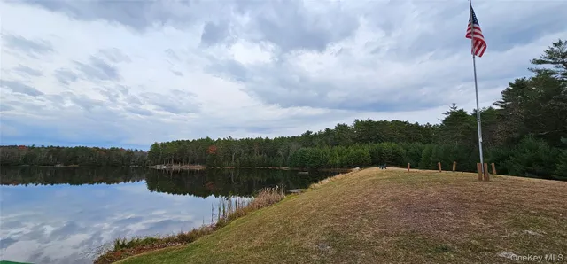 a view of lake with green space