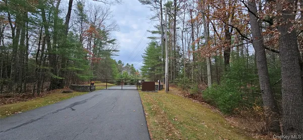 a view of a forest