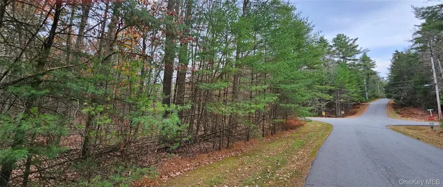 a view of a yard with large trees