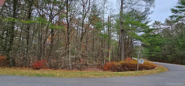 a view of a yard with plants and trees