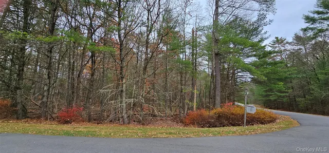 a view of a yard with plants and trees