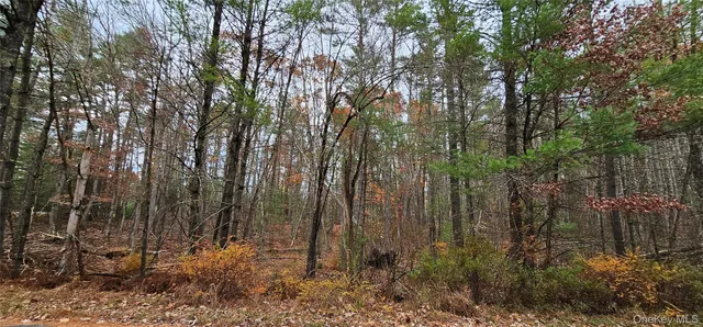 a view of outdoor space and garden