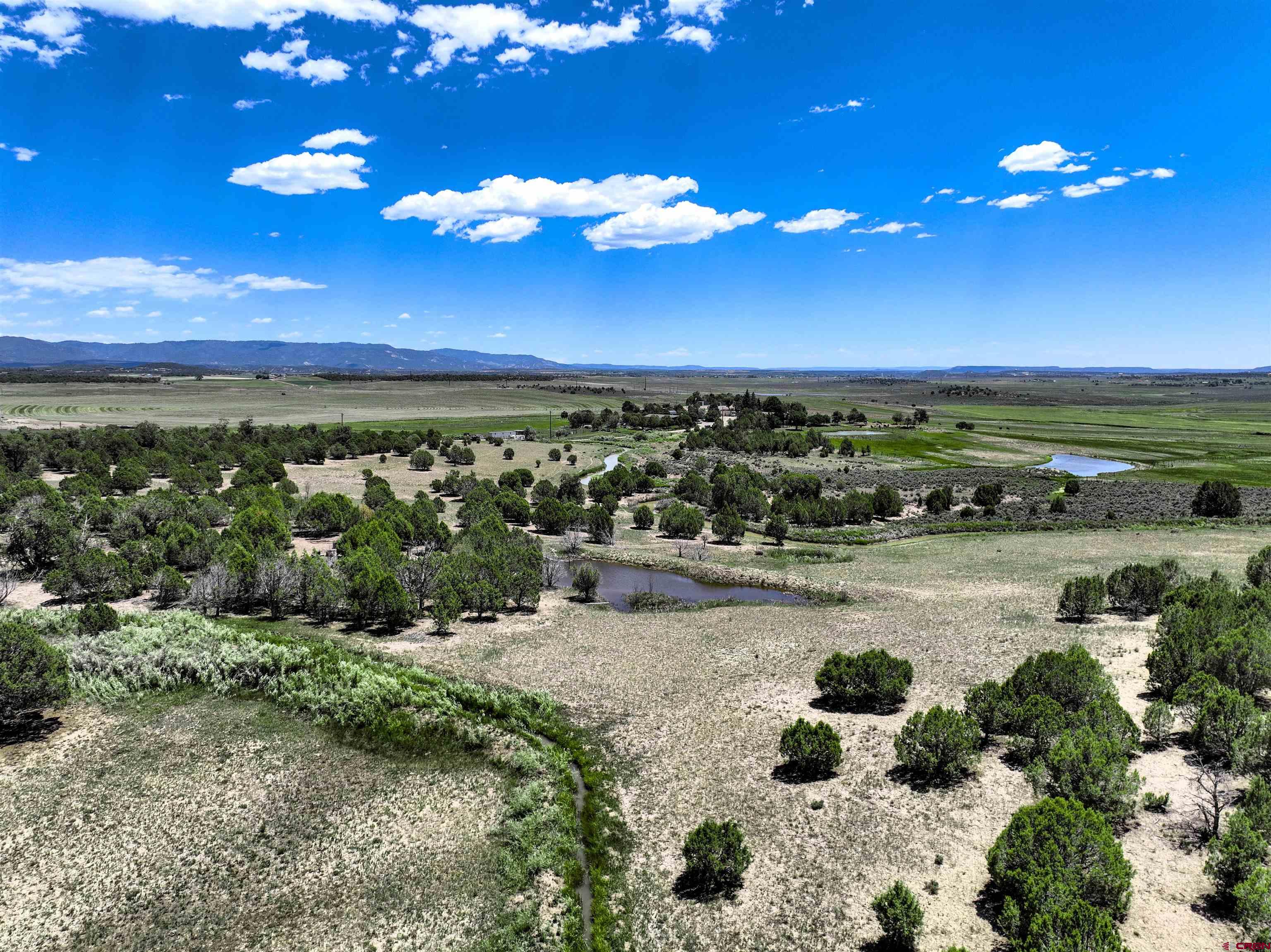 9015 Highway 172 Ignacio, CO 81137 - Photo 15 of 17