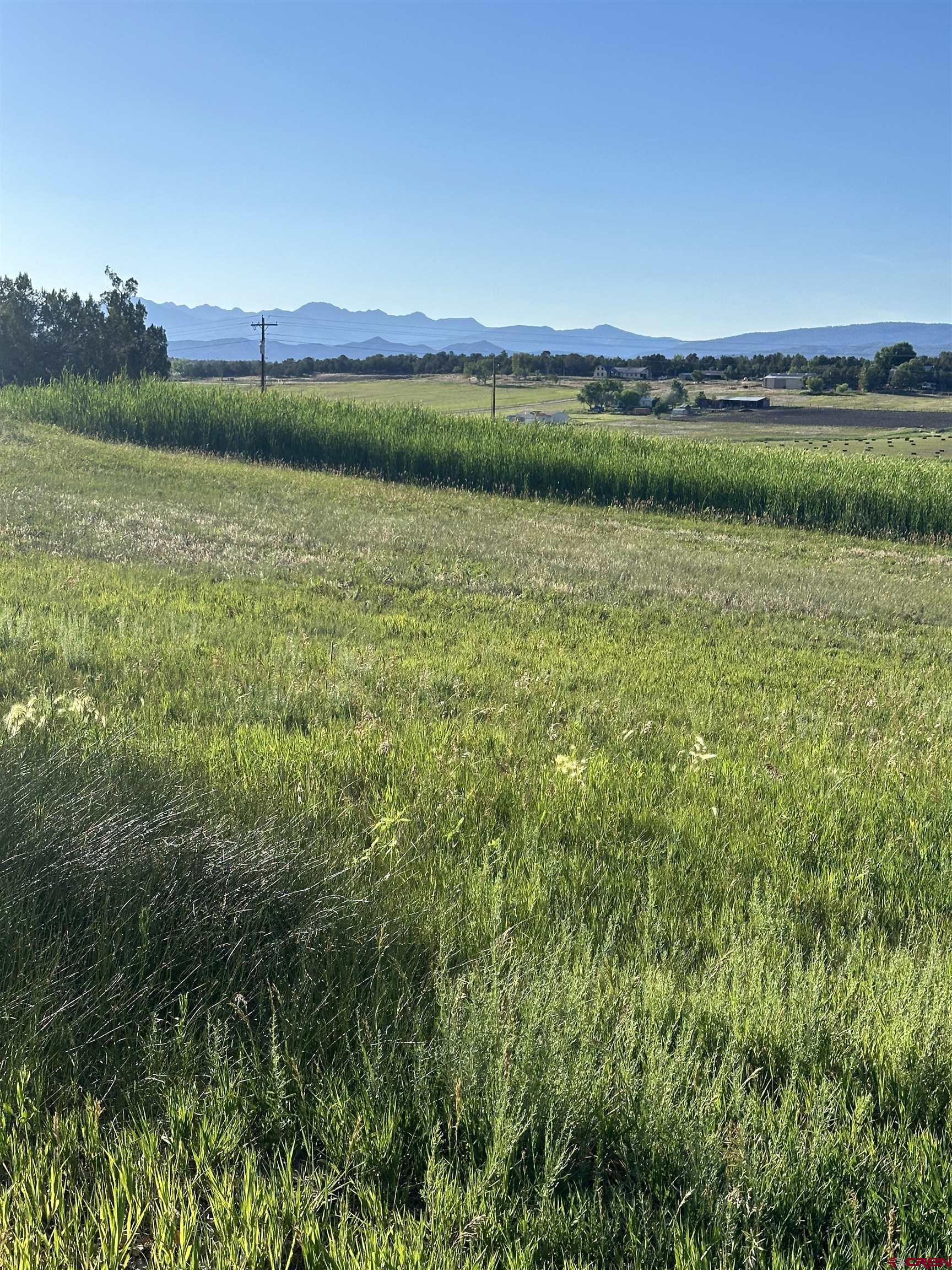 9015 Highway 172 Ignacio, CO 81137 - Photo 2 of 17