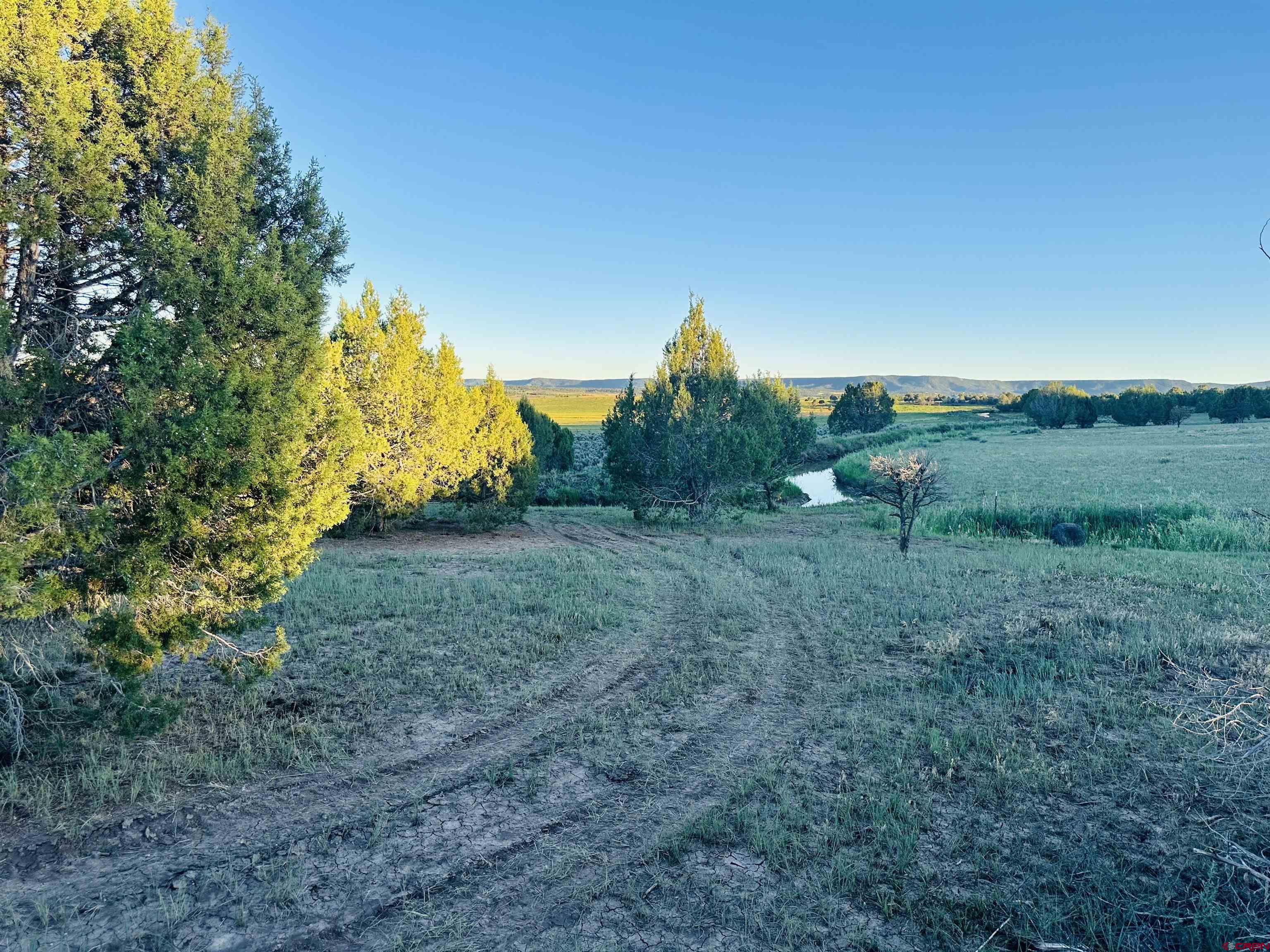 9015 Highway 172 Ignacio, CO 81137 - Photo 3 of 17