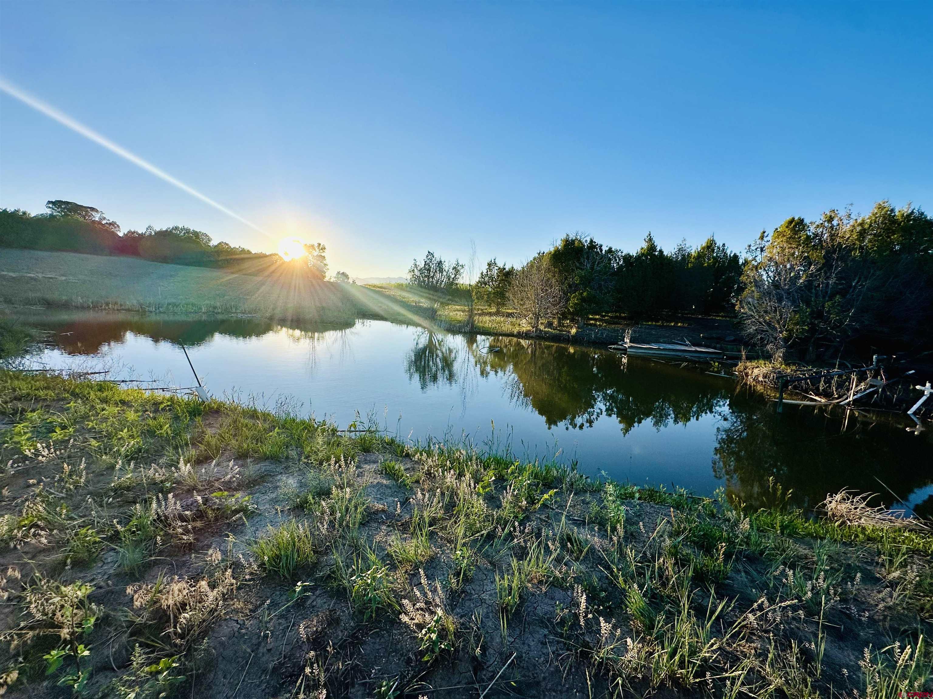 9015 Highway 172 Ignacio, CO 81137 - Photo 7 of 17