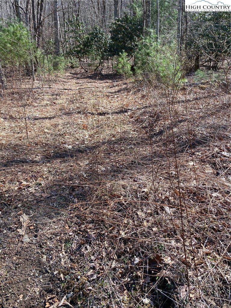 Starmount Lane Sparta, NC 28675 - Photo 13 of 20 a view of a yard with a tree