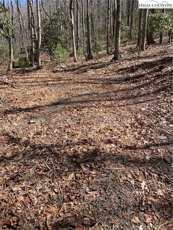 $52,000 | Starmount Lane, Sparta, NC 28675