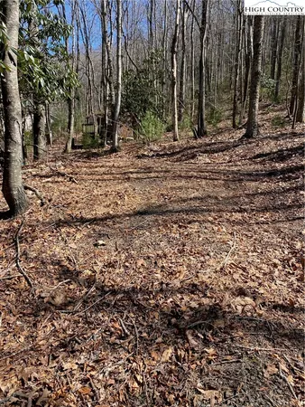 $52,000 | Starmount Lane, Sparta, NC 28675