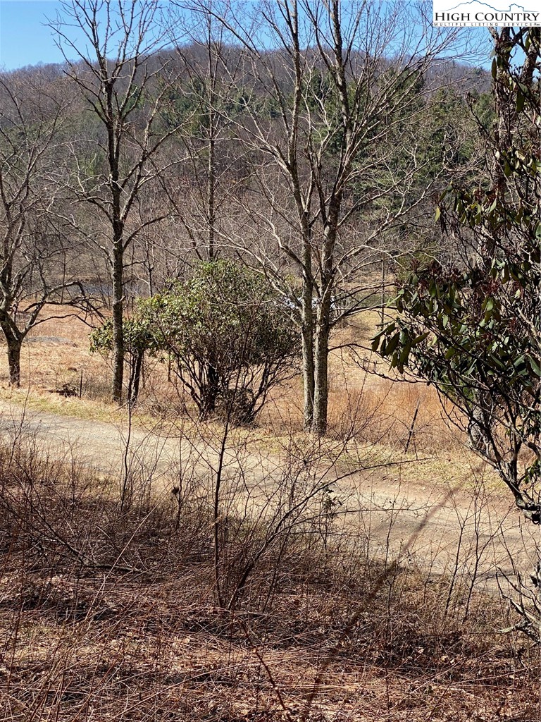 Starmount Lane Sparta, NC 28675 - Photo 3 of 20 a view of a yard with lots of trees