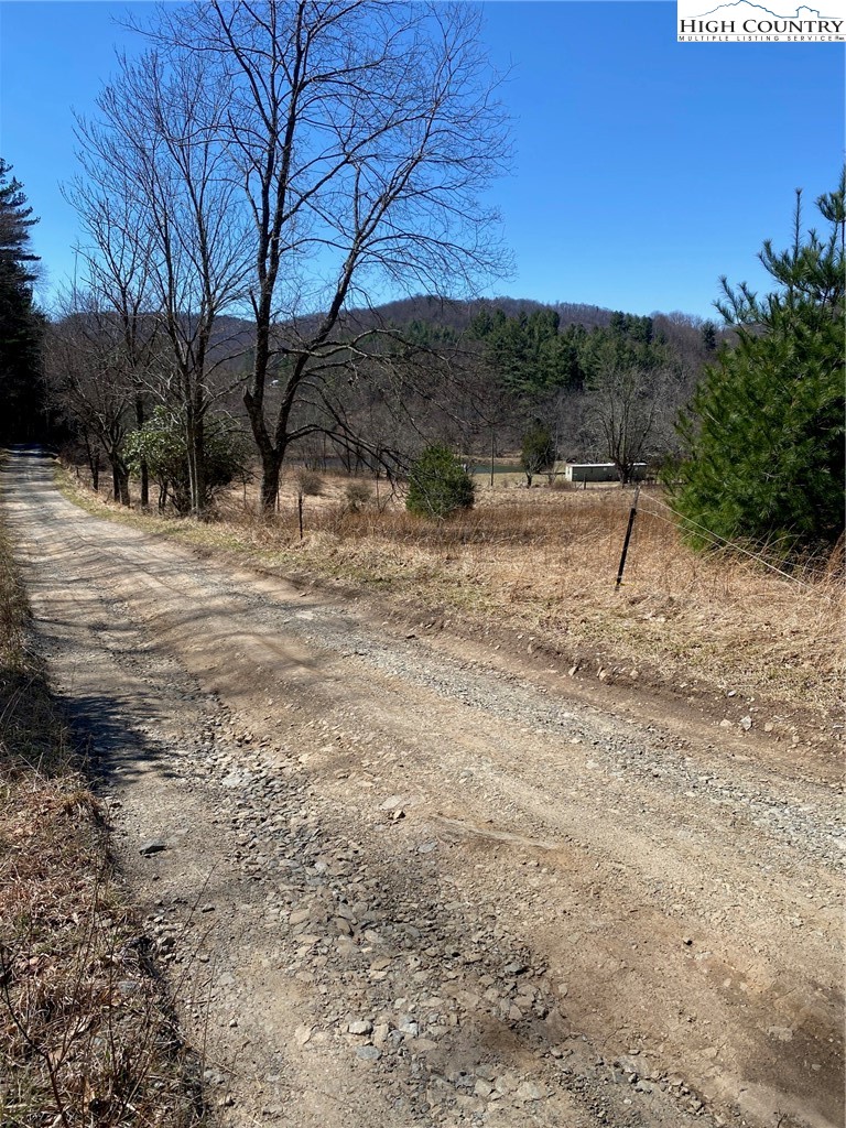 Starmount Lane Sparta, NC 28675 - Photo 4 of 20 a view of dirt yard with a large tree