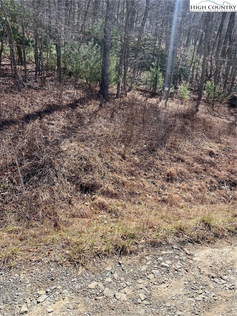 Starmount Lane Sparta, NC 28675 - Photo 5 of 20 a view of a forest with trees
