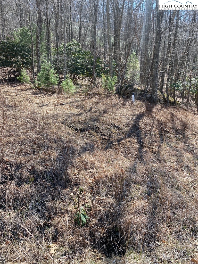 Starmount Lane Sparta, NC 28675 - Photo 7 of 20 a view of a yard with plants and trees