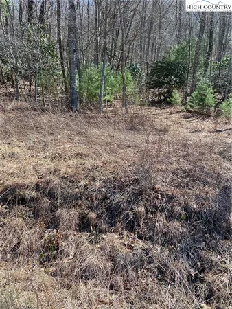 $52,000 | Starmount Lane, Sparta, NC 28675