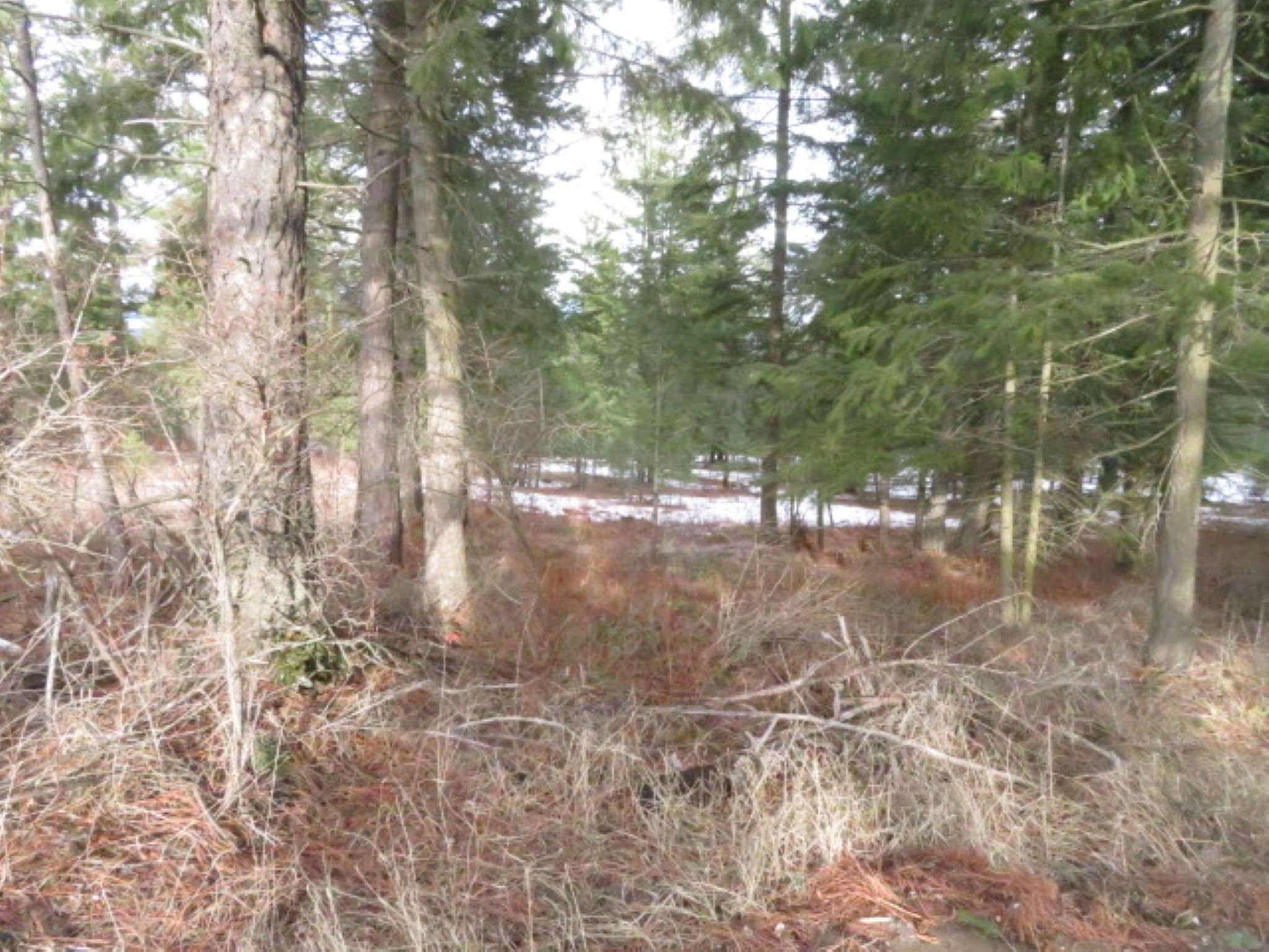0 Stanton Road Deer Park, WA 99006 - Photo 1 of 35 Gallery Image 1