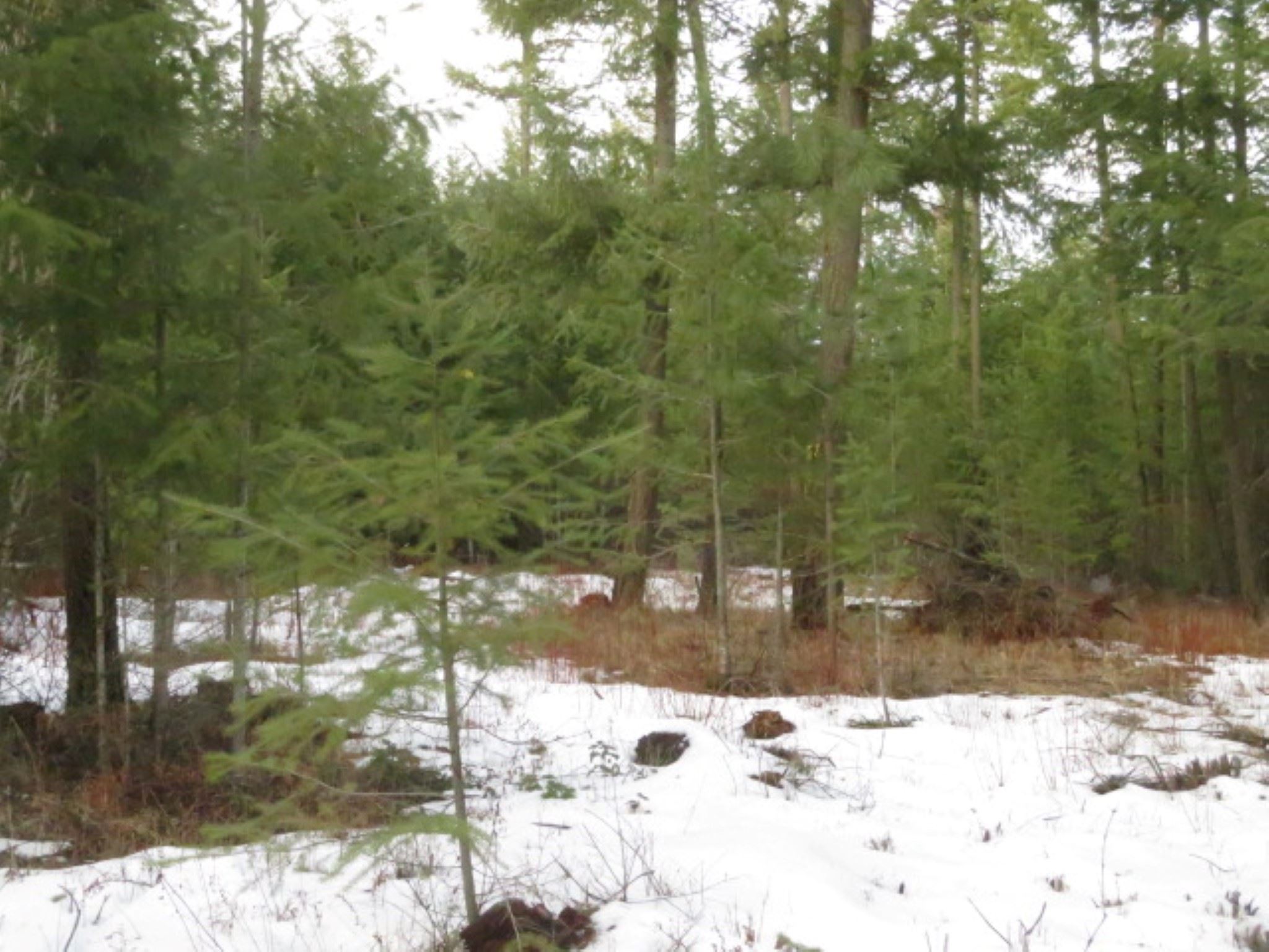 0 Stanton Road Deer Park, WA 99006 - Photo 20 of 35 Gallery Image 20