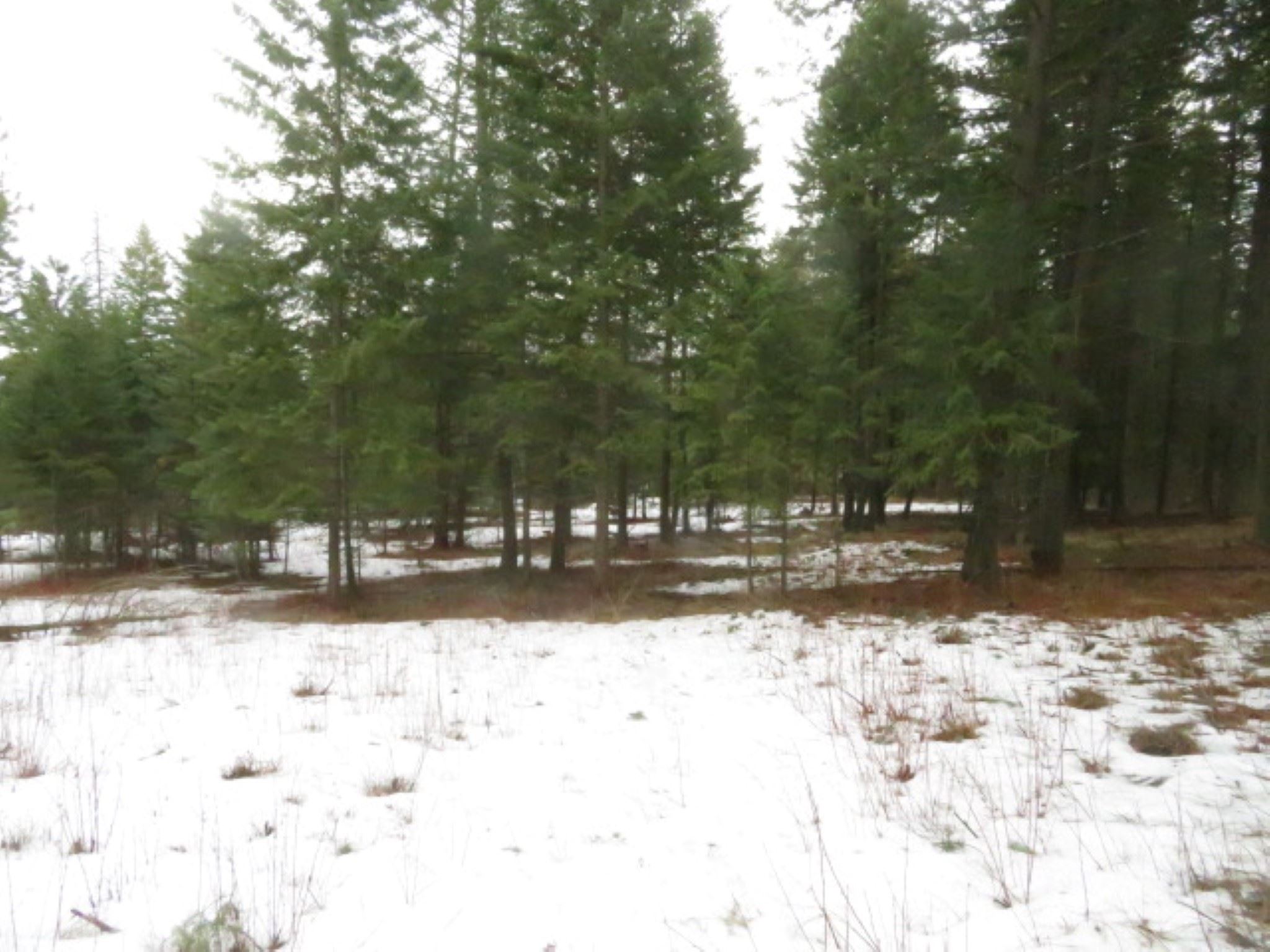 0 Stanton Road Deer Park, WA 99006 - Photo 7 of 35 Gallery Image 7