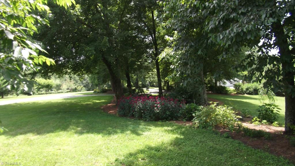 501 Mining School Road State Road, NC 28676 - Photo 11 of 29 Gallery Image 11