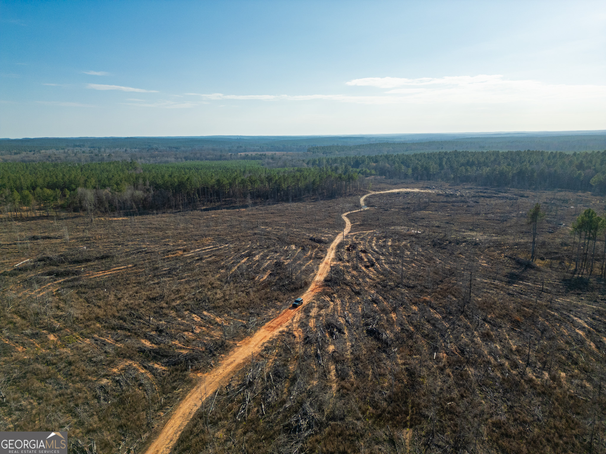 3 Smith Rocky Branch Road Carlton, GA 30627 - Photo 7 of 13