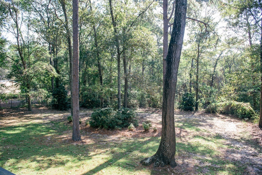 201 Red Oak Road Byron, GA 31008 - Photo 28 of 29 a view of a forest with trees