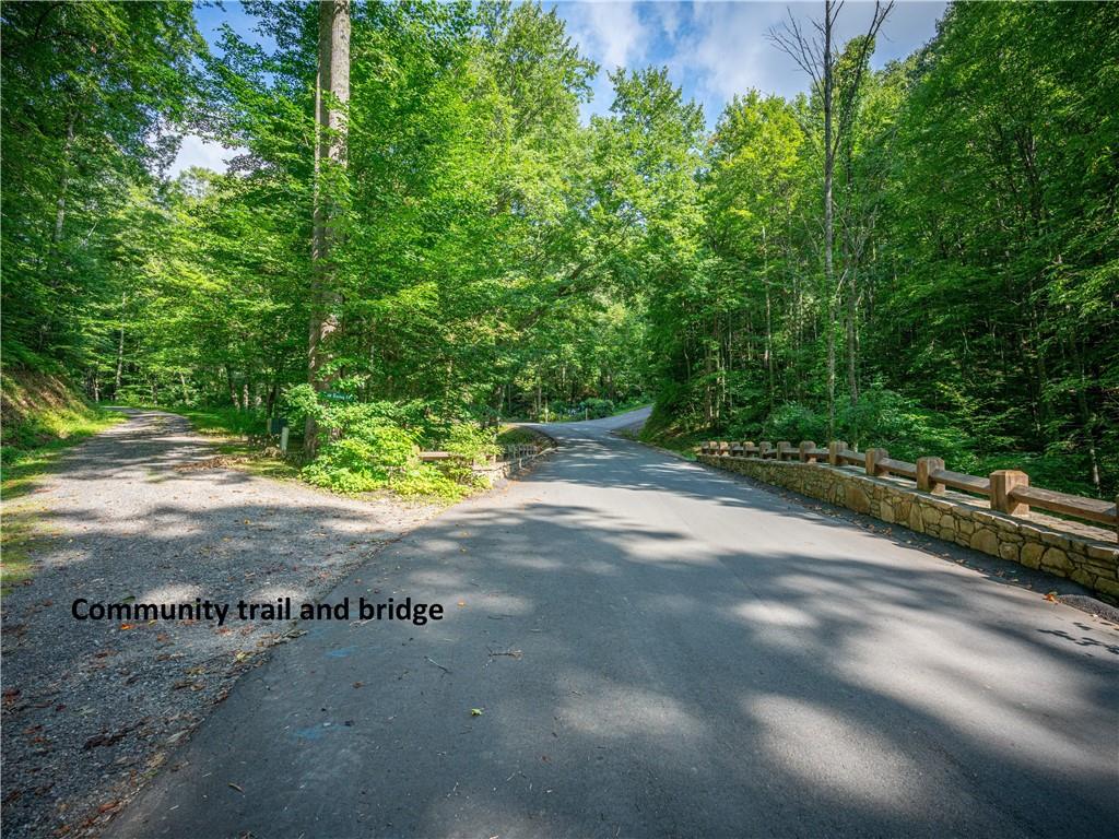 0 Pathways Trail, Unit 87 Waynesville, NC 28785 - Photo 16 of 24 a view of a yard with plants and trees