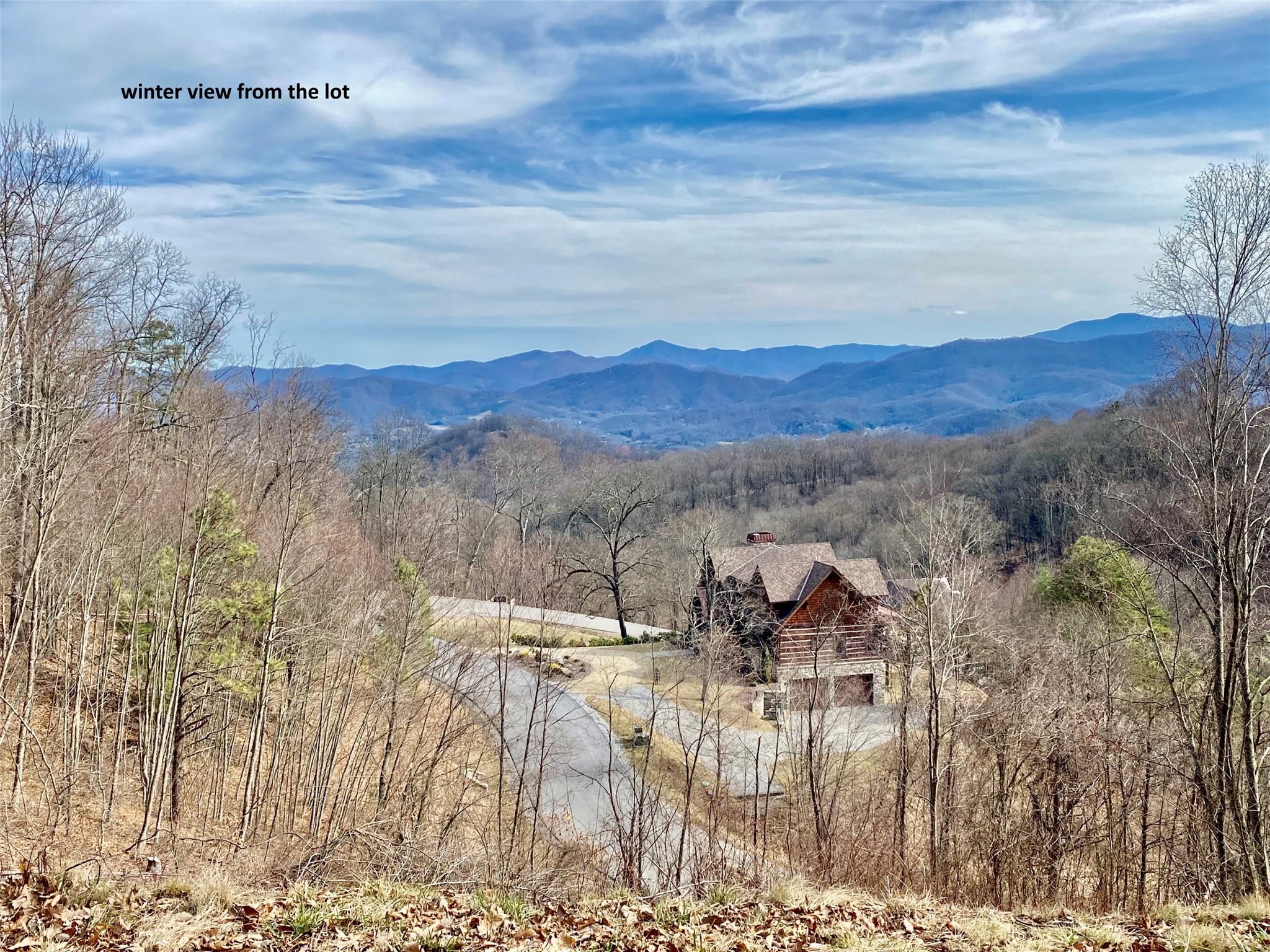 0 Pathways Trail, Unit 87 Waynesville, NC 28785 - Photo 3 of 24 a view of a yard with an outdoor space