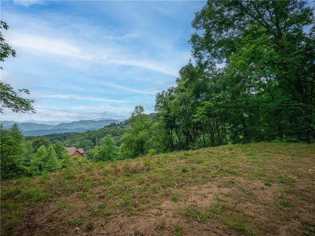 0 Pathways Trail, Unit 87 Waynesville, NC 28785 - Photo 7 of 24 a view of yard with green space
