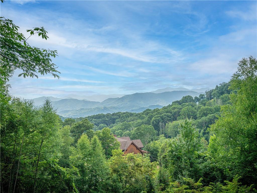 0 Pathways Trail, Unit 87 Waynesville, NC 28785 - Photo 8 of 24 a view of a lush green outdoor space with a lake view