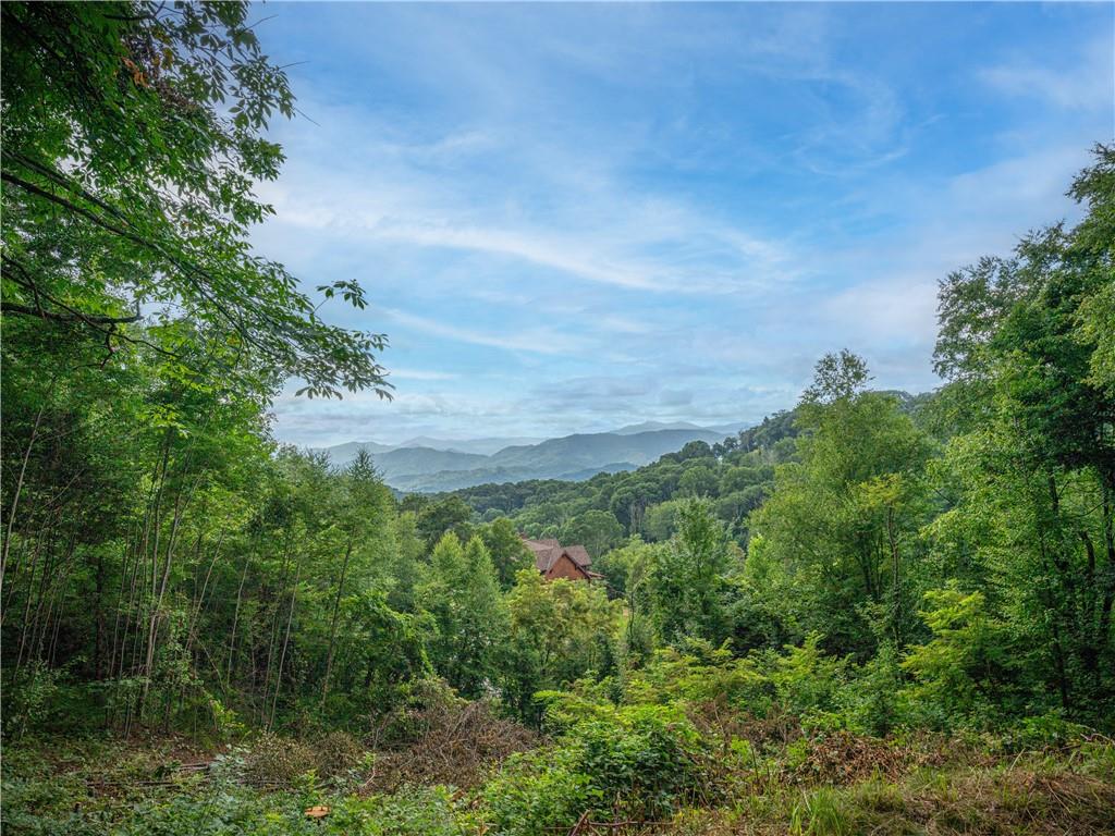 0 Pathways Trail, Unit 87 Waynesville, NC 28785 - Photo 9 of 24 a view of a garden with plants and large trees