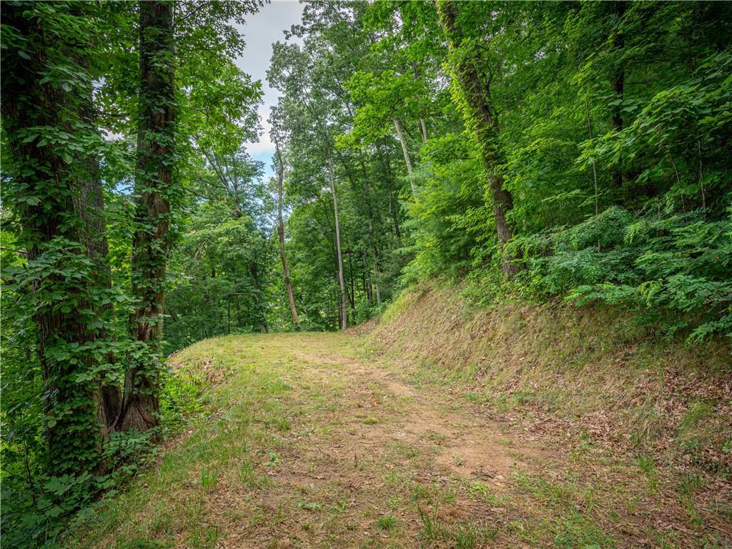 0 Pathways Trail, Unit 87 Waynesville, NC 28785 - Photo 10 of 24 a view of outdoor space and trees