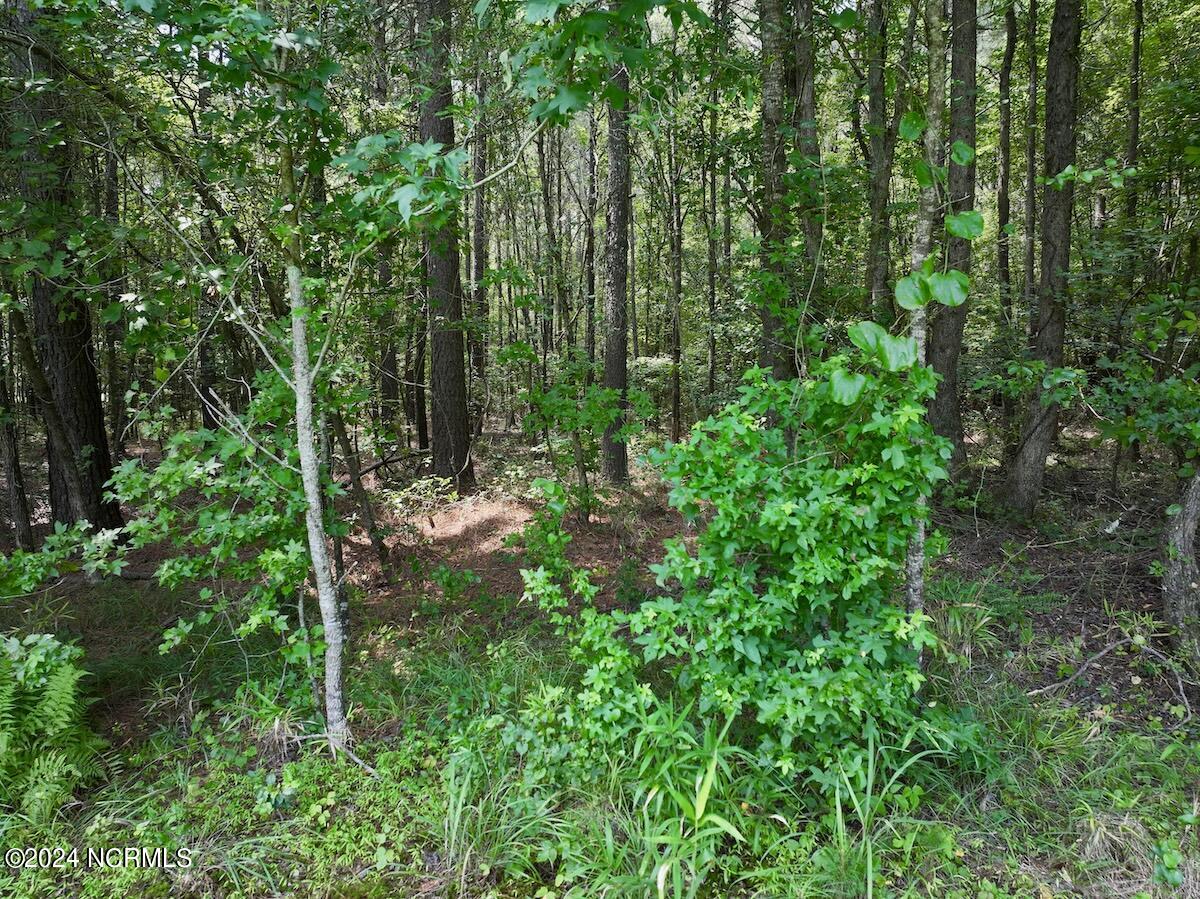 0 Woodruff Road Selma, NC 27576 - Photo 30 of 42 30