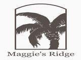 Lot 46 Maggie's Ridge Brunswick, GA 31525 - Photo 1 of 1 Gallery Image 1