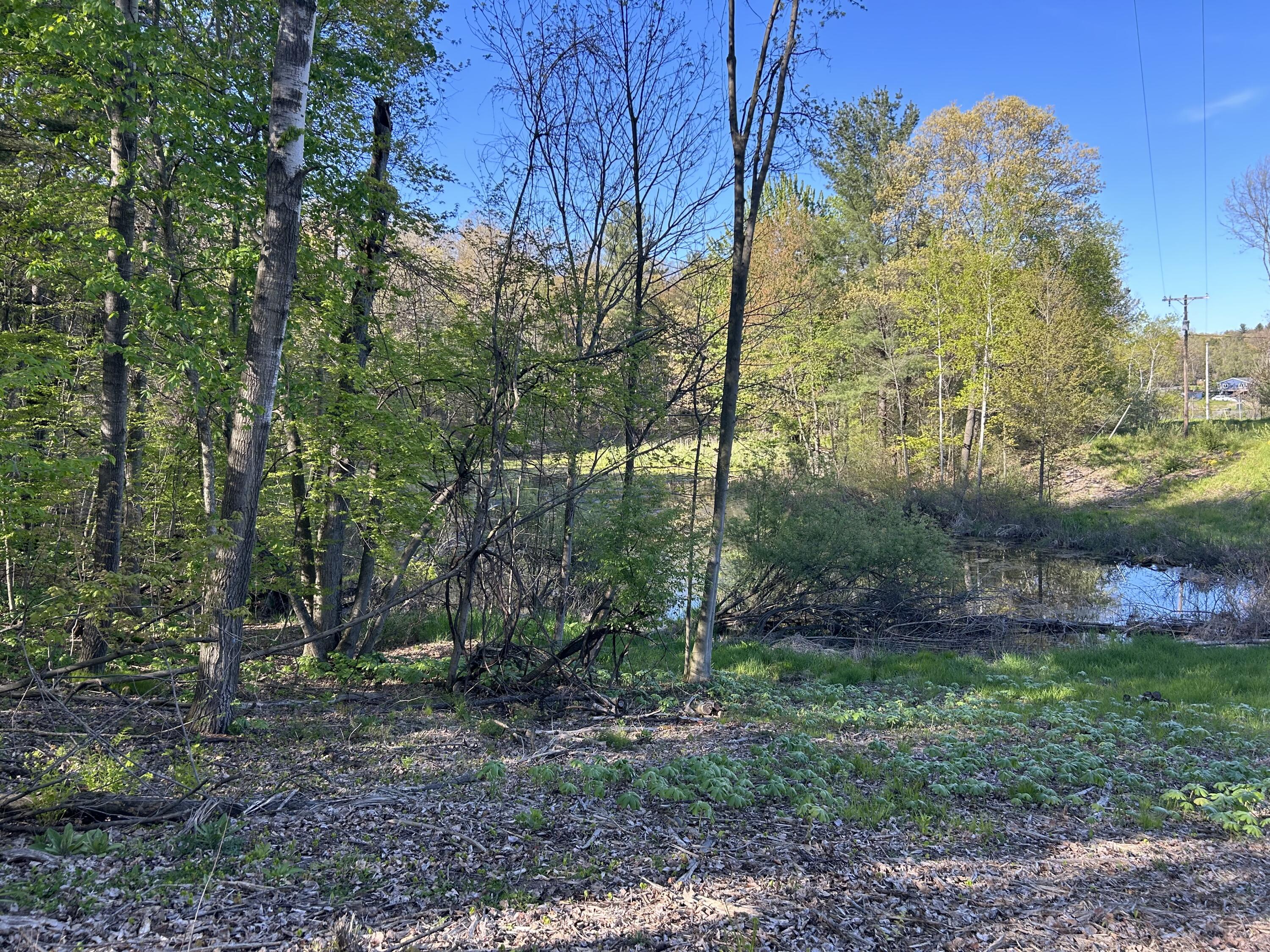22 East Mile Road Sand Lake, MI 49343 - Photo 1 of 15 Profile Pic