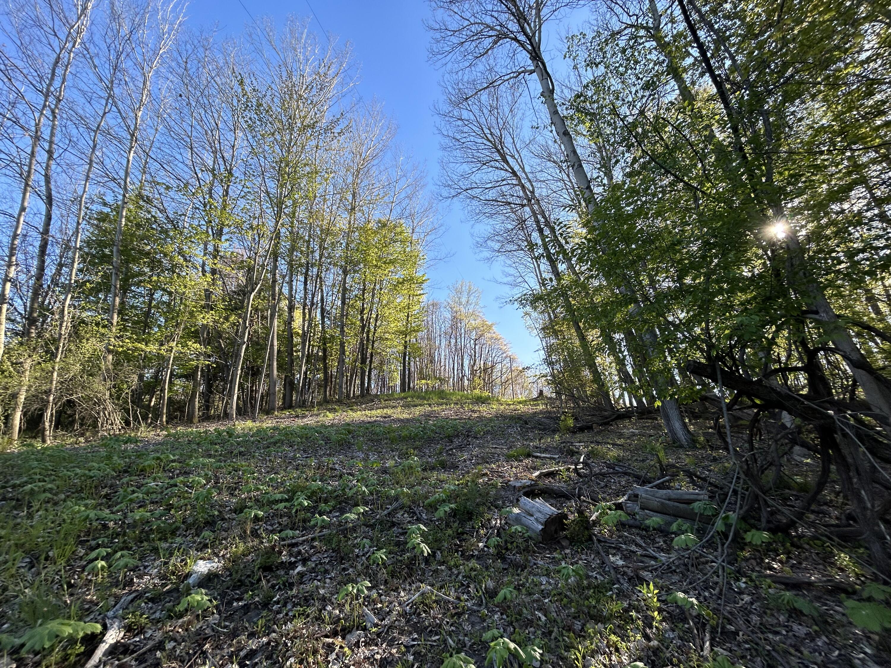 22 East Mile Road Sand Lake, MI 49343 - Photo 11 of 15 Slope