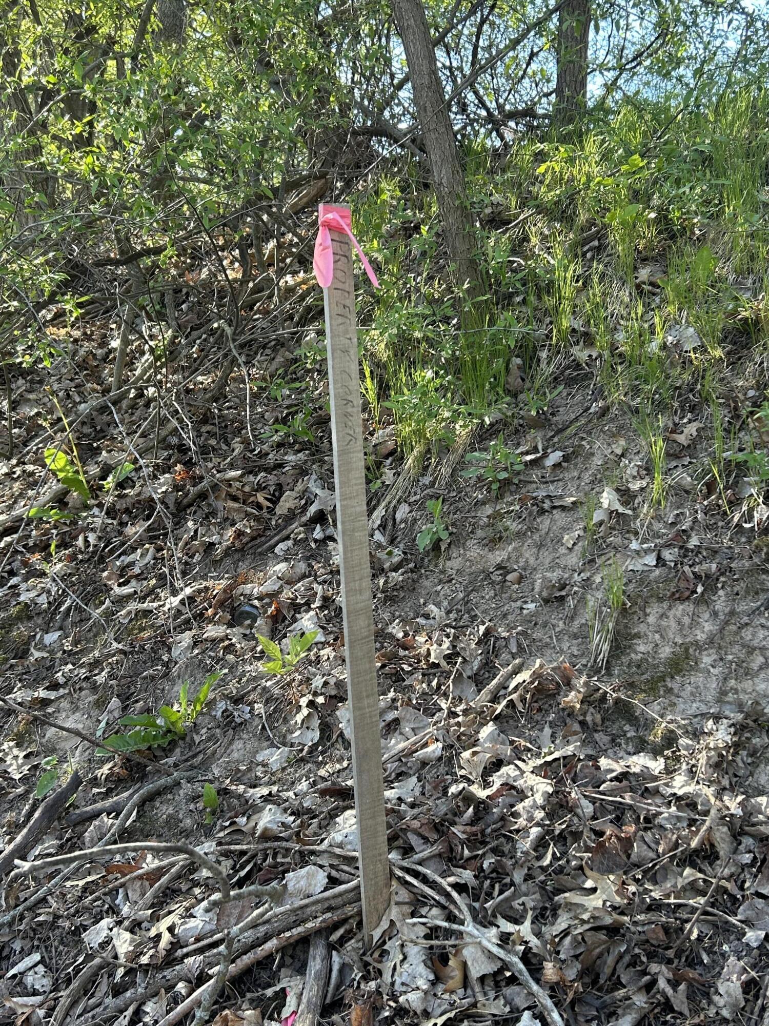 22 East Mile Road Sand Lake, MI 49343 - Photo 12 of 15 Corner stake near road