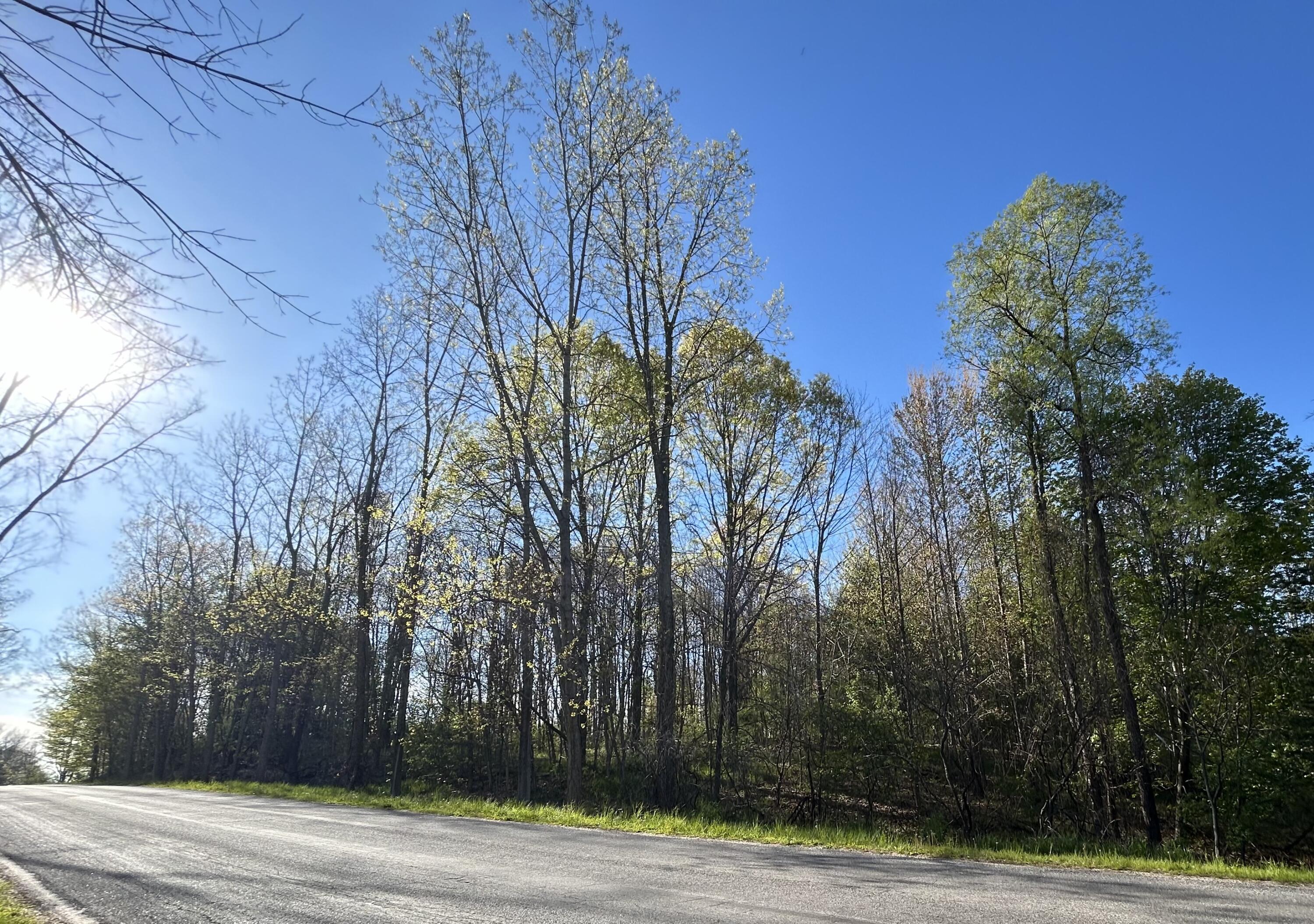 22 East Mile Road Sand Lake, MI 49343 - Photo 14 of 15 Road facing East