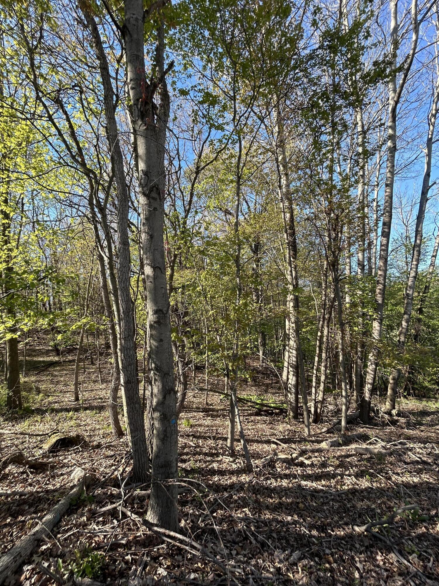 22 East Mile Road Sand Lake, MI 49343 - Photo 5 of 15 Serene