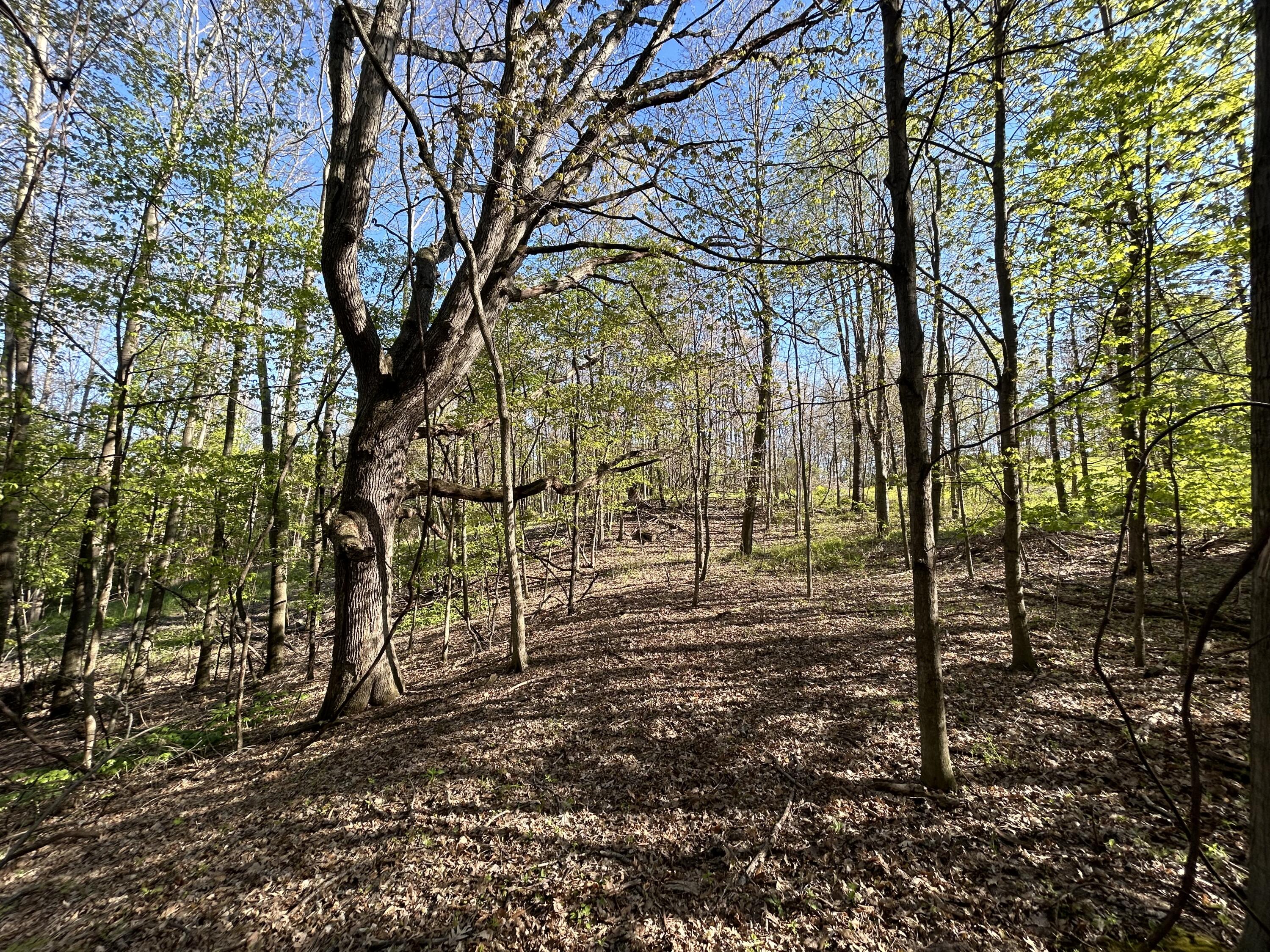 22 East Mile Road Sand Lake, MI 49343 - Photo 7 of 15 Path