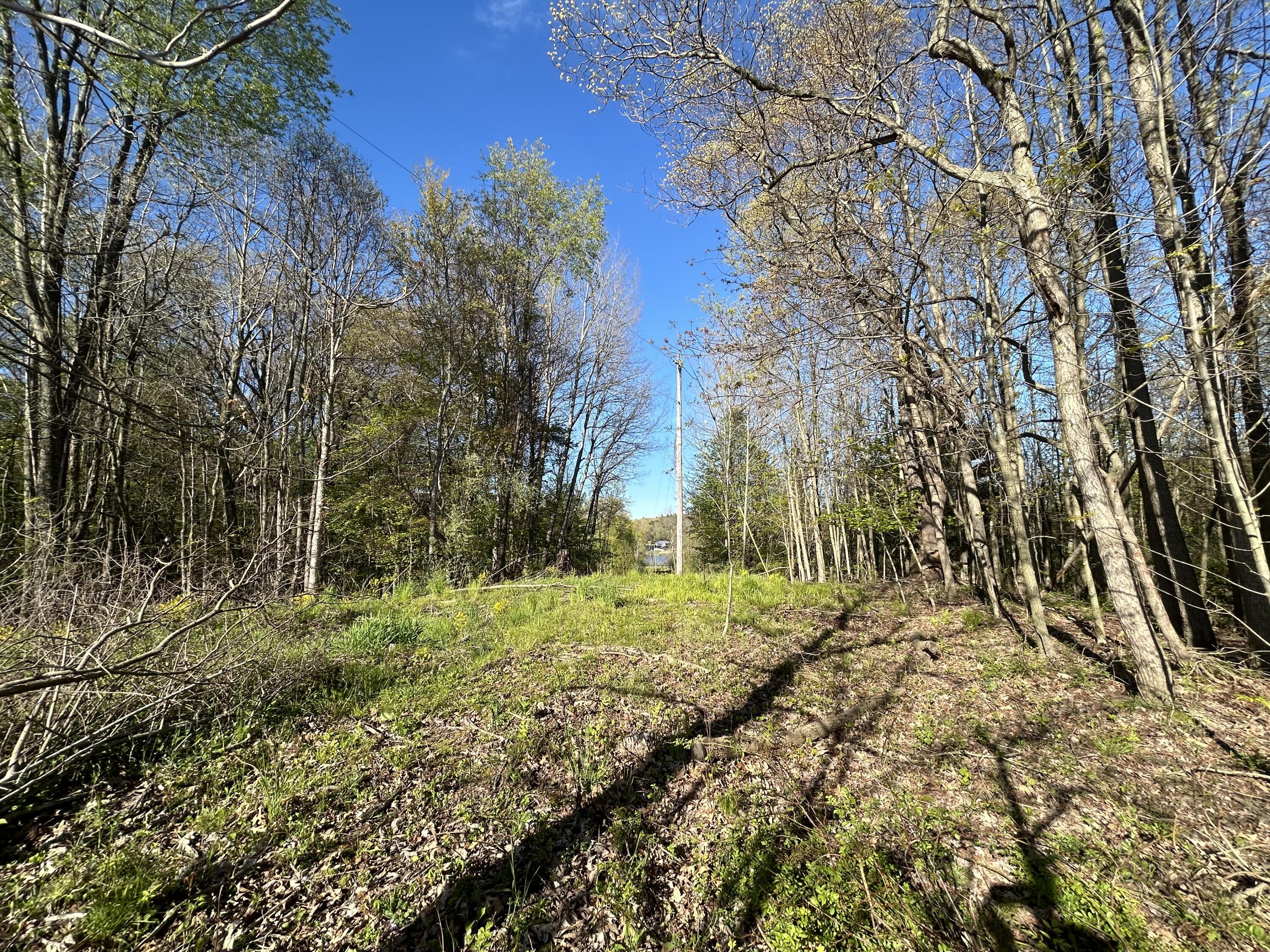22 East Mile Road Sand Lake, MI 49343 - Photo 8 of 15 Hill