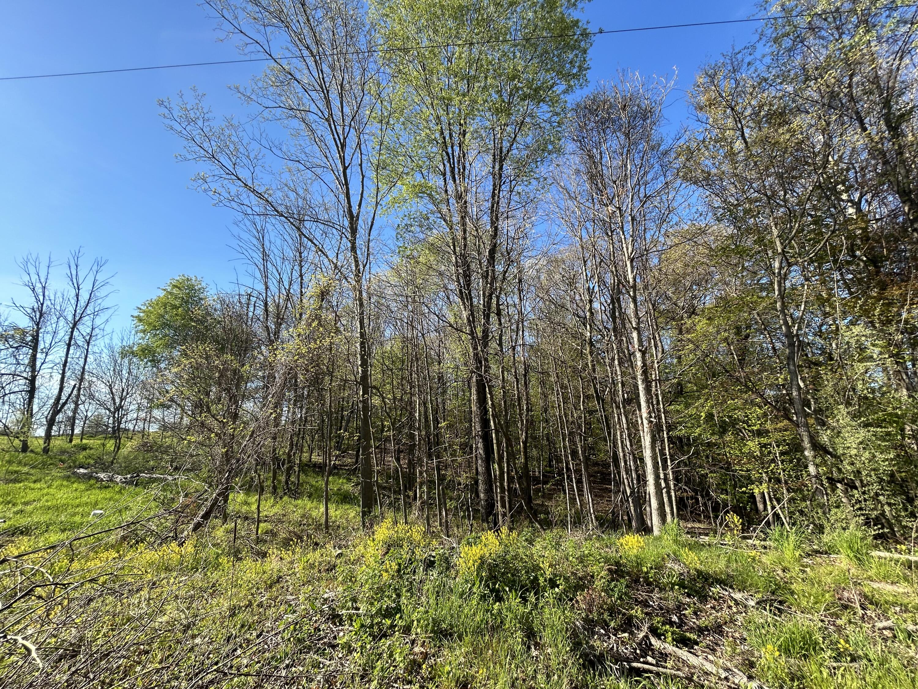 22 East Mile Road Sand Lake, MI 49343 - Photo 9 of 15 Middle
