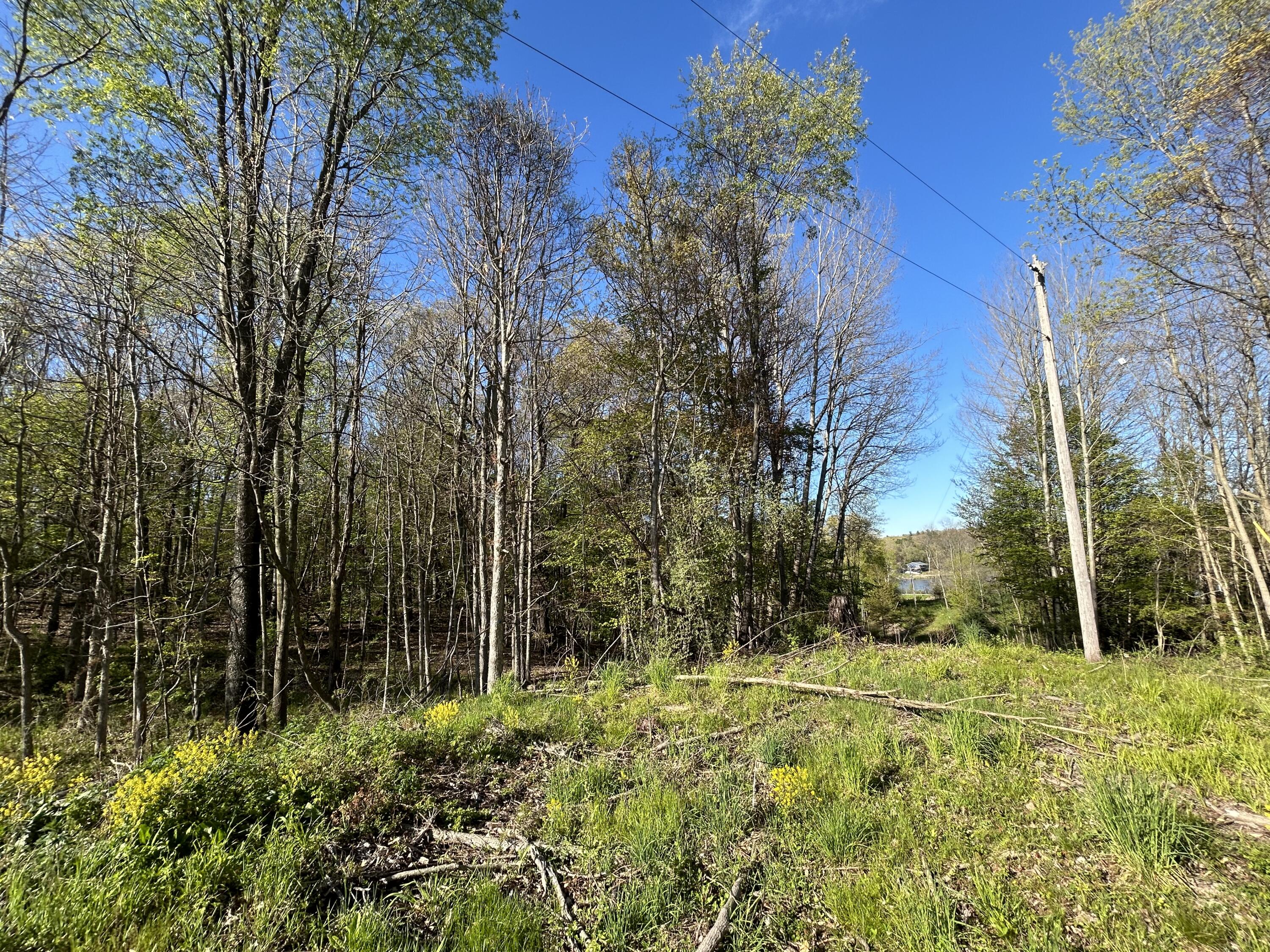 22 East Mile Road Sand Lake, MI 49343 - Photo 10 of 15 Middle